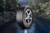 Point S 4 Seasons Van +